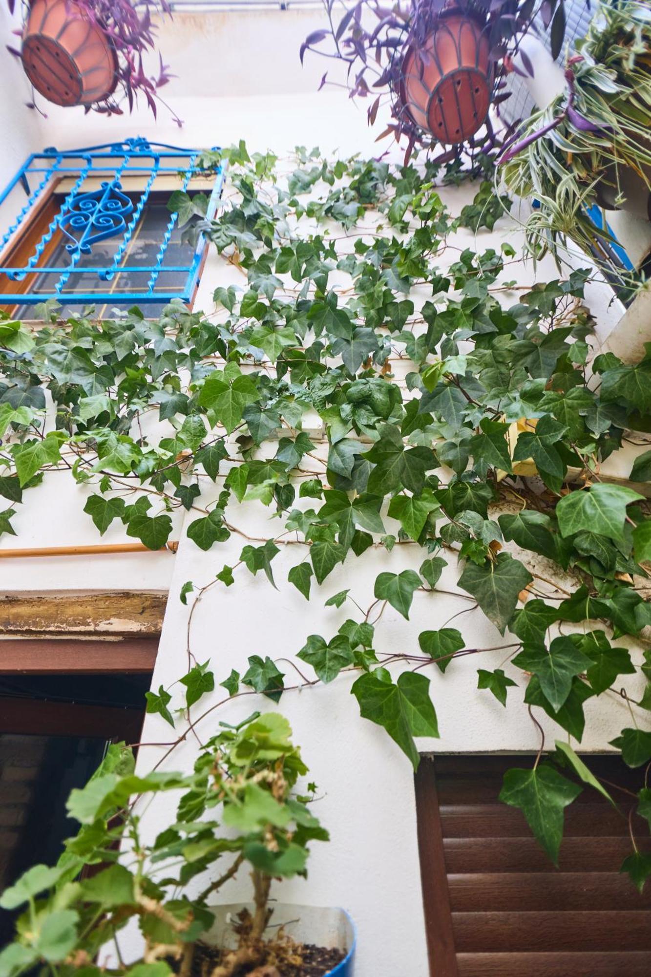 Casa El "Tablao De Las Almendras" Granada Exterior foto
